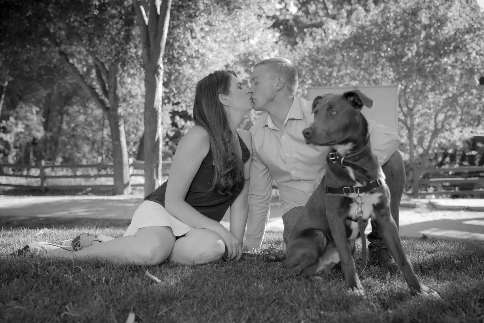 Engagement session photograph